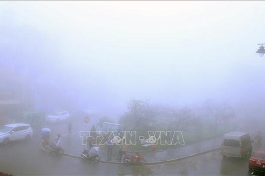 Nhiệt độ xuống mức âm, đỉnh Fansipan xuất hiện sương muối