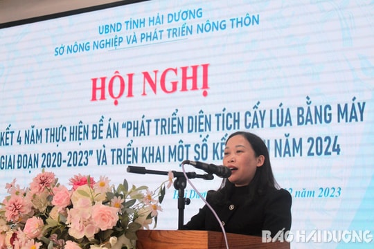 Hải Dương sẽ gieo trồng 63.600 ha lúa và rau màu vụ đông xuân 2023-2024