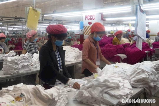 Hải Dương tổ chức 138 phiên giao dịch việc làm hỗ trợ nguồn lao động cho doanh nghiệp
