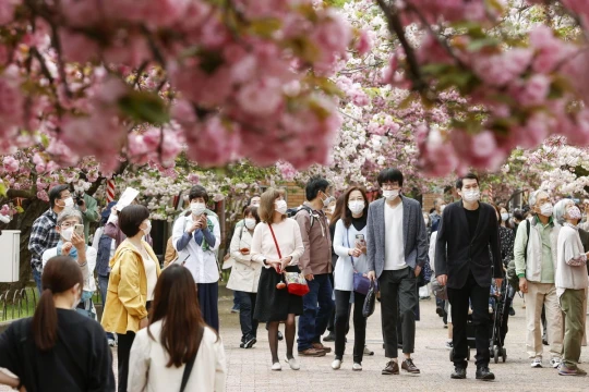 Osaka có thể là điểm đến du lịch y tế hút khách tiếp theo của châu Á