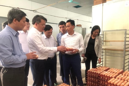 Mô hình "Dân vận khéo" của nhà nông tăng cao