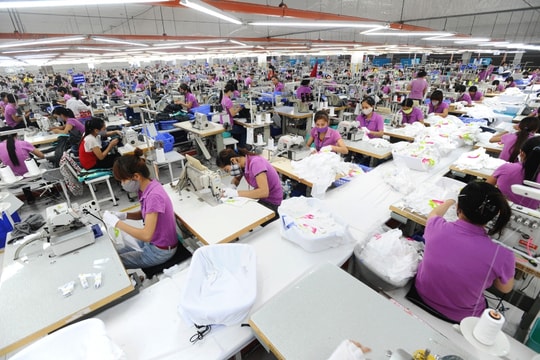 Cần cơ chế đặc thù hỗ trợ hơn 200.000 người lao động bị nợ bảo hiểm xã hội