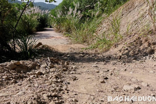 Dang dở 600 m đường kết nối Chí Linh sang Đông Triều gây lãng phí