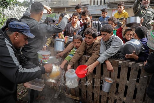 Công tác cứu trợ của WHO tại Dải Gaza bị cản trở