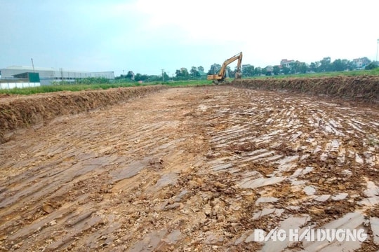 Chuyển mục đích sử dụng hơn 16,5 ha đất thực hiện dự án đường trục Bắc – Nam huyện Thanh Miện
