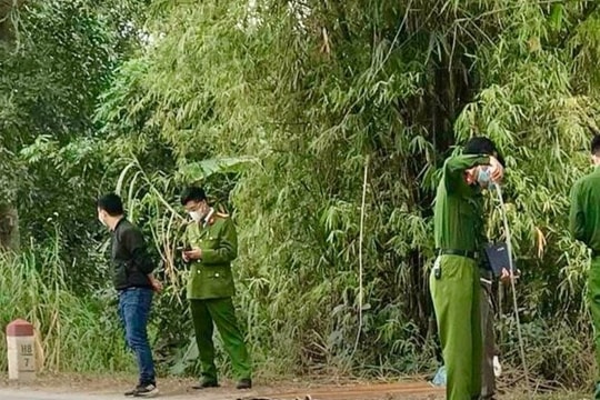 Phát hiện một thi thể phụ nữ đang phân hủy trong bụi tre ở xã Cẩm Đông
