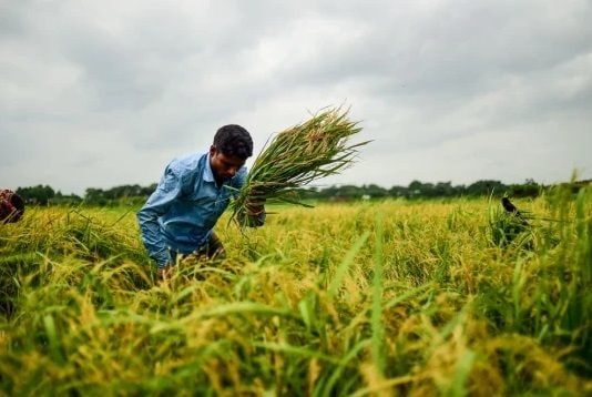 Quỹ Tiền tệ quốc tế giải ngân khoản vay 690 triệu USD cho Bangladesh