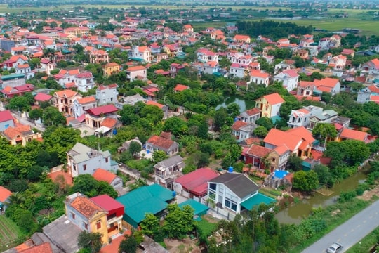 Xốn xang năm mới!