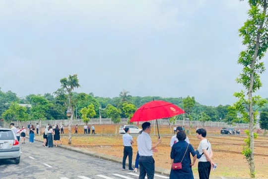 Hơn 3.000m2 đất gần sân bay Nội Bài sắp "lên sàn" đấu giá