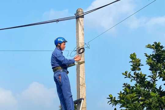 Hải Dương có 266 doanh nghiệp công nghệ số