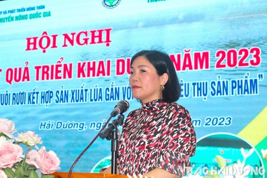 Nuôi rươi kết hợp sản xuất lúa gắn với tiêu thụ sản phẩm thu lãi 618 triệu đồng/ha
