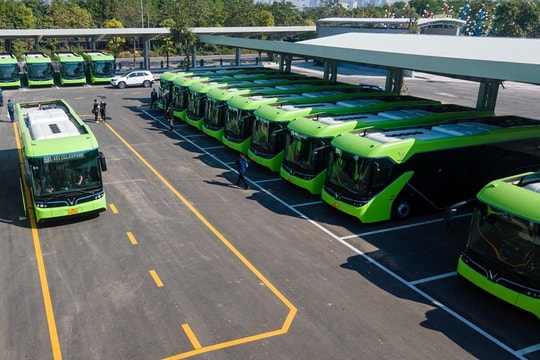 Green transport towards sustainable urban development