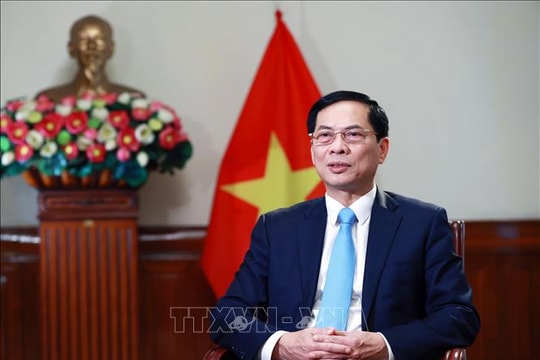 Đã rõ bản sắc "ngoại giao cây tre Việt Nam"