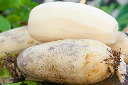 4 loại rau củ nhiều ký sinh trùng nhưng hay được ăn sống