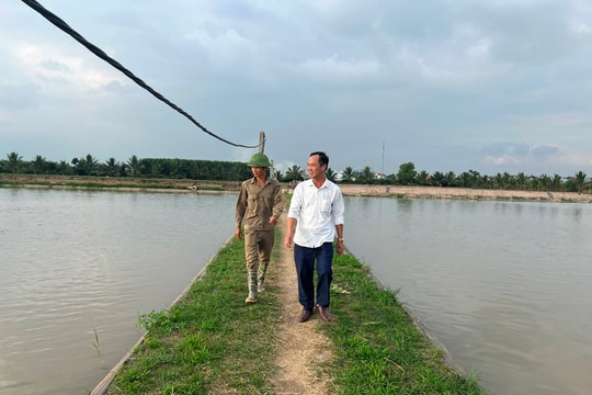 Vì sao Kim Thành có nhiều tỷ phú nông dân?