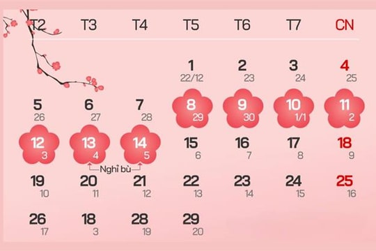 Các phương án nghỉ Tết Nguyên đán 2024 cho lao động tại doanh nghiệp