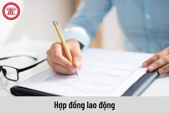 Rủi ro gì khi không ký lại hợp đồng lao động đúng hạn?