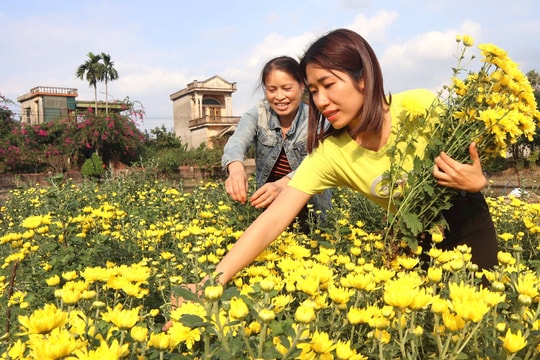 Gieo hạt cho những mùa vui