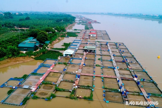 Khơi dòng phát triển: Bài 1 - Mạch nguồn sinh kế từ những dòng sông