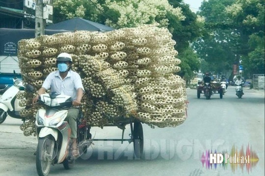 Giúp bạn tham gia giao thông an toàn: Nguy hiểm chở hàng cồng kềnh bằng xe máy