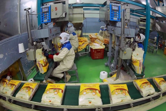 Giá gạo Việt Nam tăng lên mức cao nhất trong vòng hơn 15 năm qua