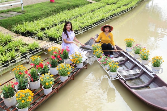 Làng hoa Sa Đéc ngập tràn hương sắc đón chào du khách