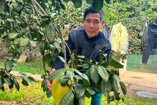 Hải Dương giữ gìn, phát triển nguồn gen quý