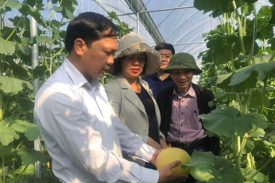 Năm 2024 Hải Dương thực hiện 29 đề tài khoa học-công nghệ