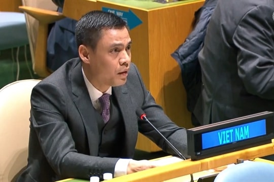 Vietnam leaves strong impressions at multilateral forums: Ambassador