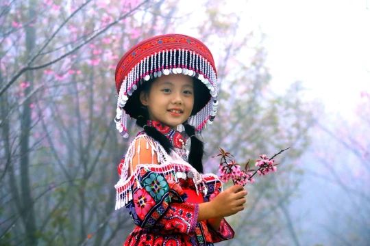 Ngắm nhìn sắc hoa rực rỡ, quyến rũ trên Tứ đại đỉnh đèo Pha Đin