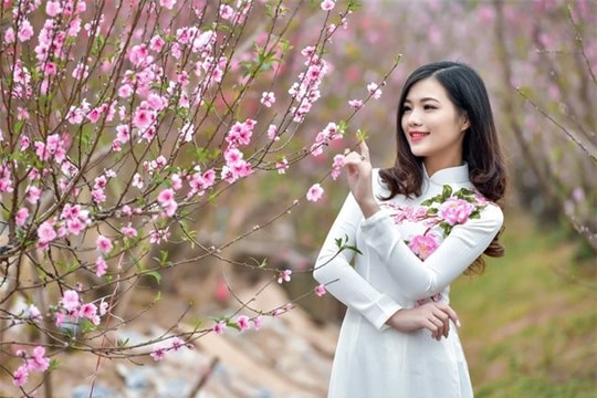 Dạt dào xuân