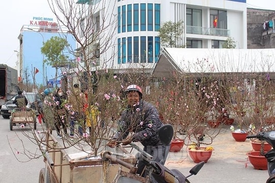 Chí Linh bán sản phẩm OCOP tại chợ hoa xuân Giáp Thìn