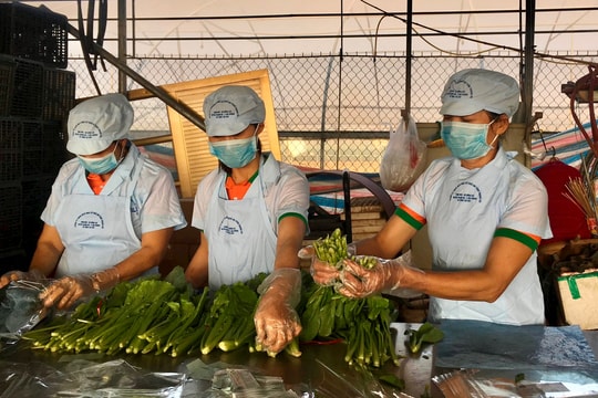 Hải Dương hiện thực hoá mục tiêu phát triển nông nghiệp xanh
