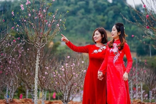 Năm 2024, người lao động được nghỉ bao nhiêu ngày lễ, Tết?