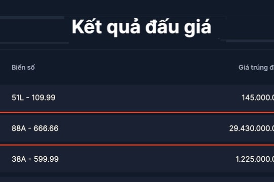 Biển số 88A-666.66 trúng đấu giá gần 30 tỷ đồng