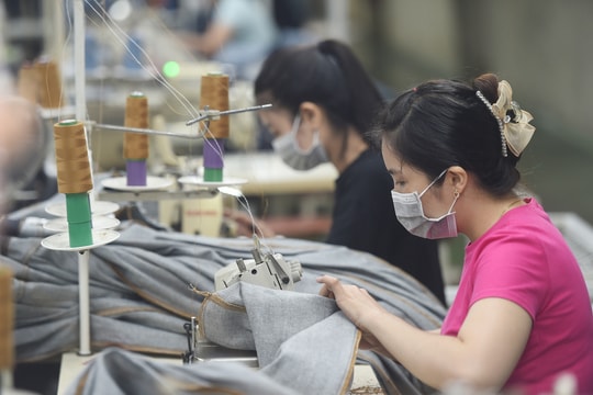 Thu nhập bình quân 2023 của lao động Việt Nam tăng 6,9%