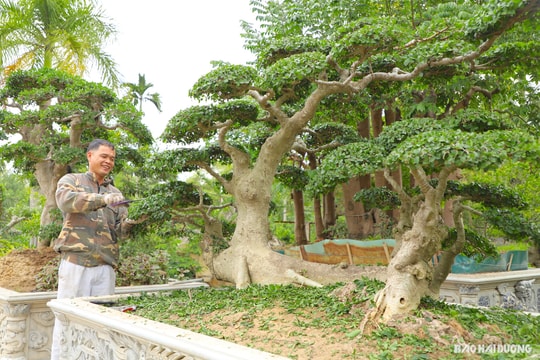 Nhà máy Nước sạch An Bình: Điểm sáng xây dựng môi trường xanh
