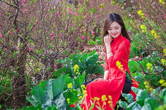 Vườn xuân 