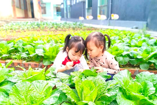 OneSky project brings about positive outcomes for Hai Duong kindergarten