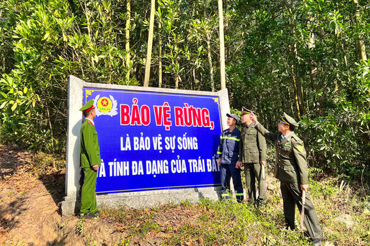 Giữ màu xanh cho rừng