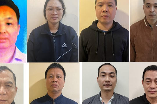 Khởi tố 8 người liên quan vụ khai thác đất hiếm tại Tập đoàn Thái Dương