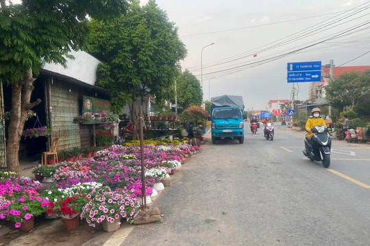 Thanh Hà mở 11 điểm chợ hoa xuân phục vụ Tết Giáp Thìn