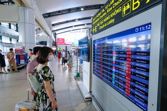 Chọn khung giờ "gà gáy nửa đêm", giá vé máy bay Tết vẫn cao ngất ngưởng