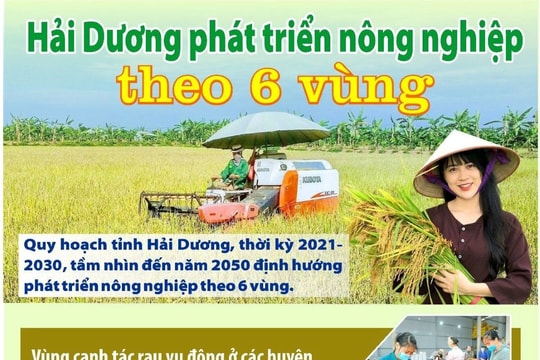 Hải Dương phát triển nông nghiệp theo 6 vùng