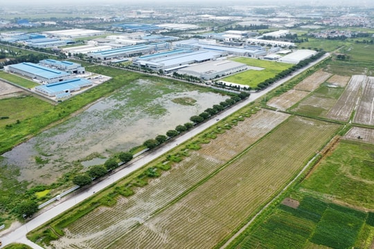Tập đoàn Deli sắp khởi công nhà máy có vốn đầu tư FDI lớn nhất tại Hải Dương