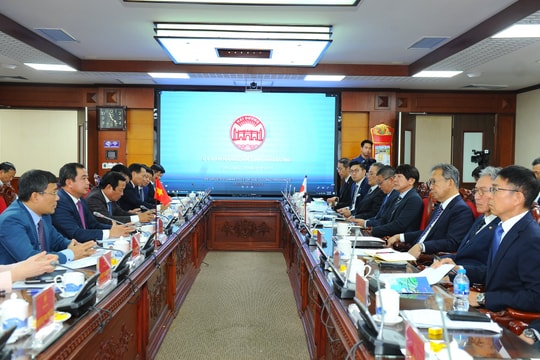 Hai Duong - attractive destination for Japanese investors