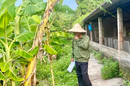 Cấp xã phải quản lý chặt chẽ đất nông nghiệp chuyển đổi, đất công
