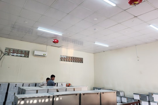 Tòa lắp hệ thống phòng cháy, camera bảo vệ 6 tấn hồ sơ vụ Vạn Thịnh Phát 