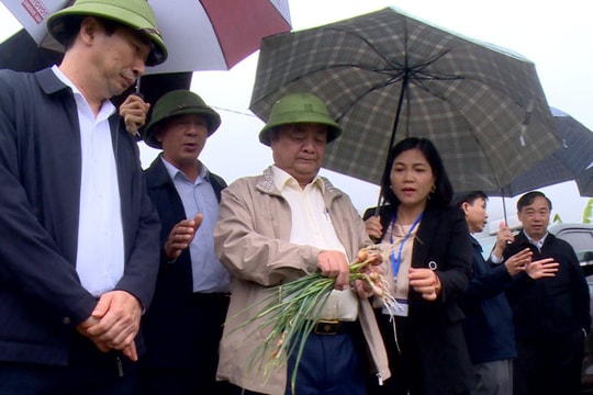 Đưa Hải Dương thành kiểu mẫu về phát triển nông nghiệp