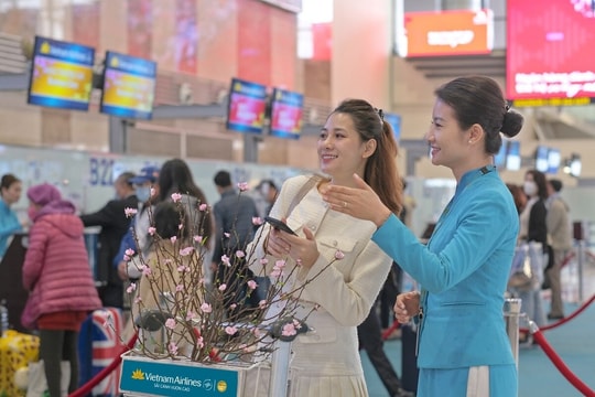 Hàng không nhận chở đào, mai chơi Tết